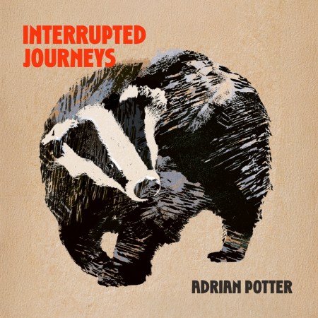 Interrupted Journeys